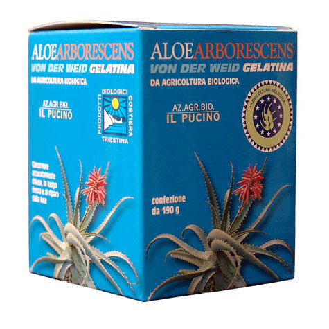 Aloe Arborescens with Aloe Vera Barbadendis